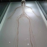 Василий Родионов, 15.04.1987, Львов