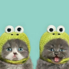 Baxtiyar Abdullah, 04.03, Баку