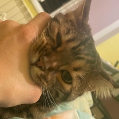 Рамзан Темирхаджиев, 23.03.1992, Москва