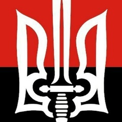 Борис Ребров, Киев