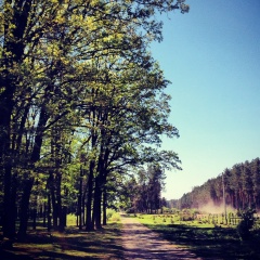Ольга Демянчук, Санкт-Петербург