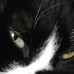 Сергей Алексеенко, Санкт-Петербург