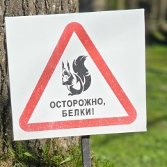 Елена Позднякова, Москва