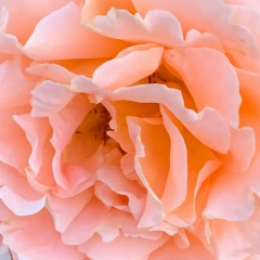 Анна Малькова, 06.02, Москва