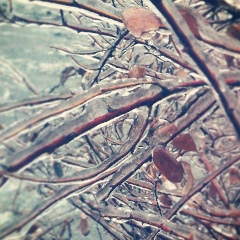 Дмитрий Кудряшов, 22.08, Днепр (Днепропетровск)