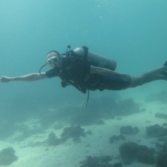 Александр Артёмов, 11.02.1983, Санкт-Петербург