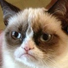 Максим Минец, 04.05.1987, Борисполь