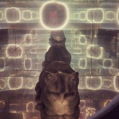 Юлия Зенгер