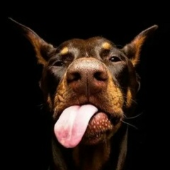 Елена Сметанникова, 29.04, Алматы