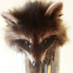 Katarina Bolejn, 05.01