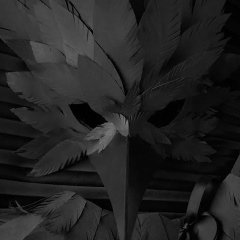 Кристиан Лайфстрим, 07.06