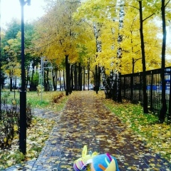 Людмила Пушкова, Красногорск