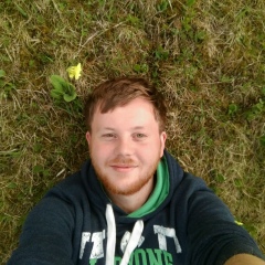 Serj Lungu, Сороки