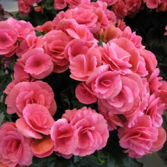 Акмарал Данбаева, 04.09.1974