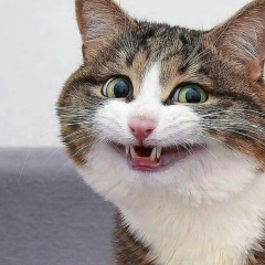 Стас Скетчер, 30.03