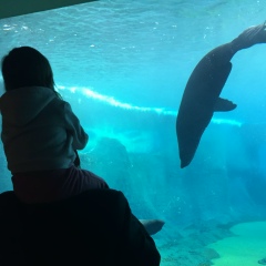 Ігор Іванців, 26.12.1990