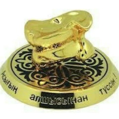 Еркин Сатыбалдиев, 30.12.1984, Арысь