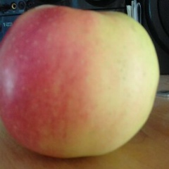 Рахман Улугов, 05.02.1973