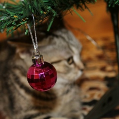 Елена Макеева, 04.08, Алматы