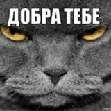 Александр Щеглаков, 12.07.1988, Омск