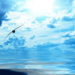 Meir Daribaev, 30.10, Алматы