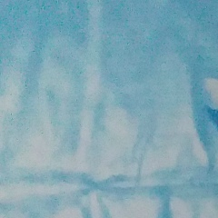 Karlygash Kuandyk, 01.01, Туркестан