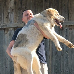 Денис Иванов, 27.11.1980, Пермь