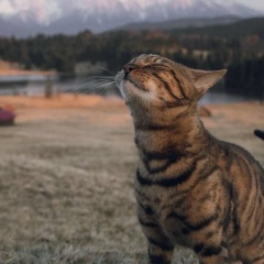 Miss Understanding, 01.04, Houston