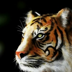 Евгений Бортник, 28.05.1976, Сосногорск