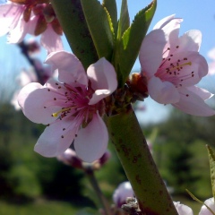 Марічка Маник, 02.08.1982, Киев