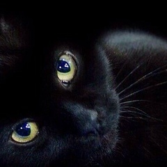 Джамиля Карпунина, 09.04.1980, Москва