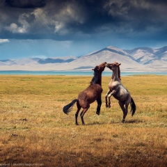 Төлеген Нұрмұхан, 25.10.2000, Актау