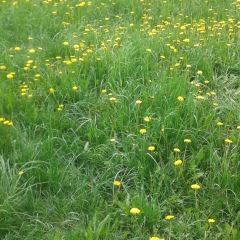 Zhanar Seitkaziyeva, Алматы