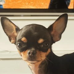 Павел Кучерявый, 20.01, Москва