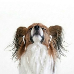 Александр Баранов, 07.12