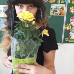 Лилия Цуцол