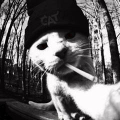 Родион Галеев, 06.10, Санкт-Петербург