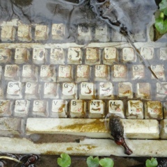 Иван Бутримов, 14.02.1983