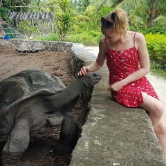 Sonja Pede, 11.06.1988