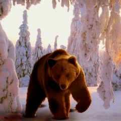 Максим Нечаев, 11.01