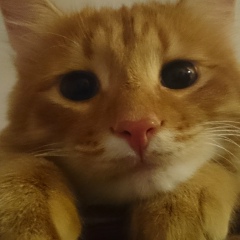 Аида Карамбетова, 16.09