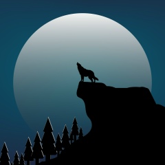 Магомед Хисимиков, 04.05.1982, Грозный