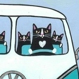 Евгений Попов, 09.06.1987, Санкт-Петербург