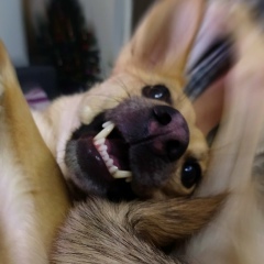 Александр Ковтун, 05.06.1995, Кишинев