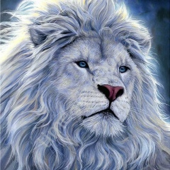 Аркадий Белый, 27.01.1992, Санкт-Петербург