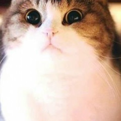 Кирилл Савенков, 30.06, Самара