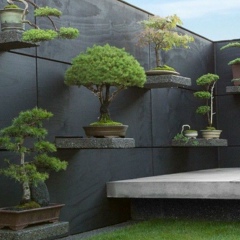 Andrey Koshkin, Санкт-Петербург