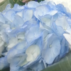 Ирина Романова, 12.03, Санкт-Петербург