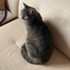 Ольга Кожаурова, 02.06.1974, Санкт-Петербург