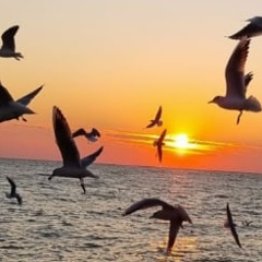 Игорь Дроняк, 11.08.1985, Самара